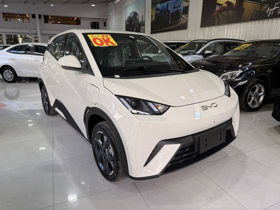 BYD DOLPHIN MINI 38 KW ELÉTRICO GS